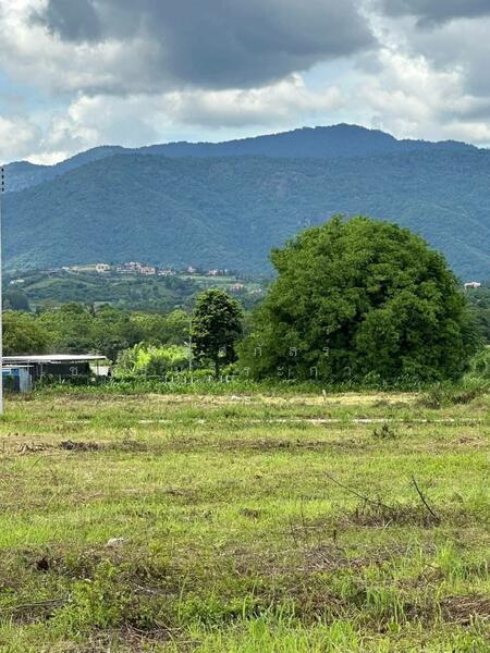 ขาย - ราคานี้…หาไม่ได้แล้วจริง ๆ ปกติ ไร่ละ5ล้าน. แต่แปลงนี้ขายไร่ละ 2.8ล้านนน, นครราชสีมา