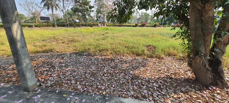 ขาย - ที่ดินแปลงยาว ฉะเชิงเทรา, ฉะเชิงเทรา