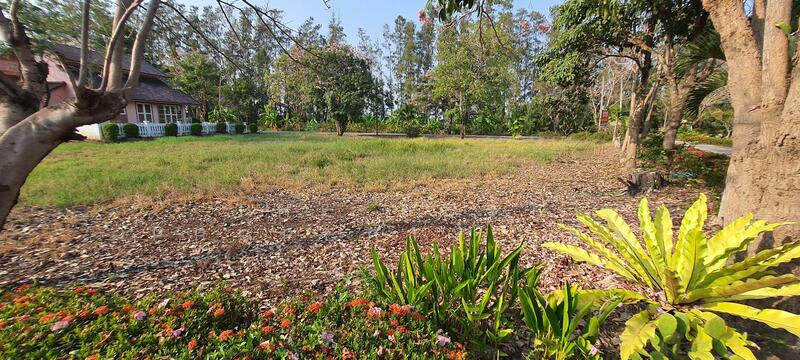 ขาย - ที่ดินแปลงยาว ฉะเชิงเทรา, ฉะเชิงเทรา