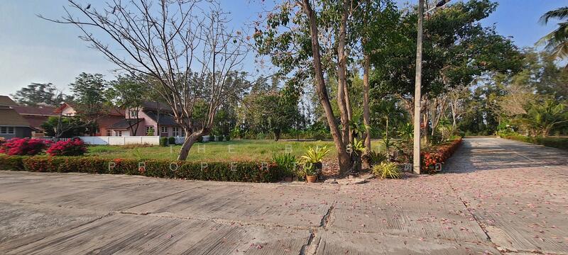 ขาย - ที่ดินแปลงยาว ฉะเชิงเทรา, ฉะเชิงเทรา