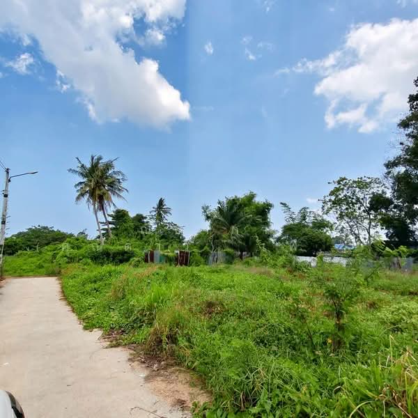 พัทยา - ชัยพฤกษ์ 2 - ซอยชากนอก ตำบลห้วยใหญ่ อำเภอบางละมุง จังหวัดชลบุรี, Chon Buri (Pattaya), ซอยชากนอก, Huai Yai, Bang Lamung (Pattaya), Chon Buri (Pattaya), , 800 sqm, Land For Sale, by Nichapa Phiachan, 500060877 - DDproperty.com