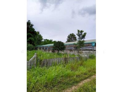 ขาย - พัทยา - โป่ง - เขาไม้แก้ว ตำบลโป่ง อำเภอบางละมุง จังหวัดชลบุรี, ชลบุรี