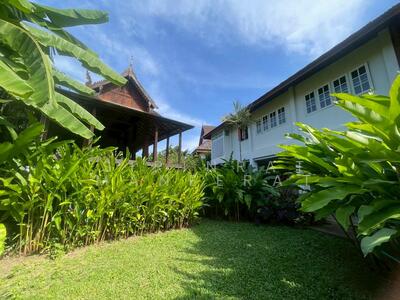 ขาย - สันผีเสื้อ, เชียงใหม่