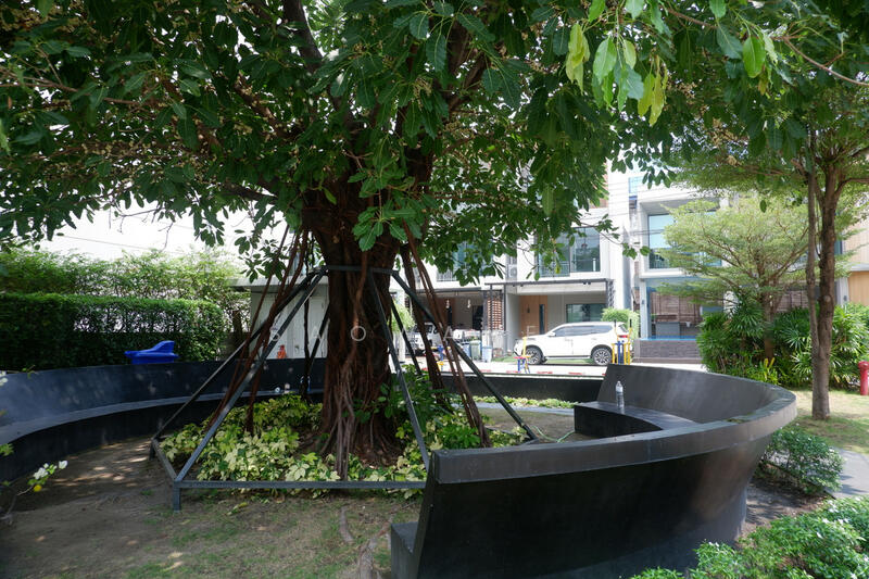 ให้เช่า - The Canvas Sukhumvit-Samrong : เดอะ แคนวาส สุขุมวิท-สำโรง, สมุทรปราการ