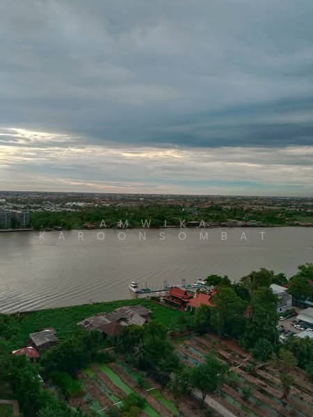 The Politan Aqua, Nonthaburi, 15 Nonthaburi, Bang Kra So, Muang Nonthaburi, Nonthaburi, 1 Bedroom, 30 sqm, Condo For Rent, by Amwika Karoonsombat, 500062639 - DDproperty.com