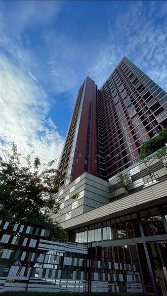 For Sale - The Base Garden Rama 9, Bangkok