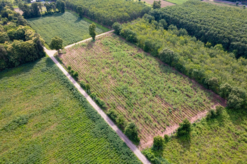 ที่ดินนิคมสงเคราะห์ อุดรธานี, Udon Thani, Ni Kom Song Khro, Muang Udon Thani, Udon Thani, , 1,600 sqm, Land For Sale, by The Best Property นก, 500062763 - DDproperty.com