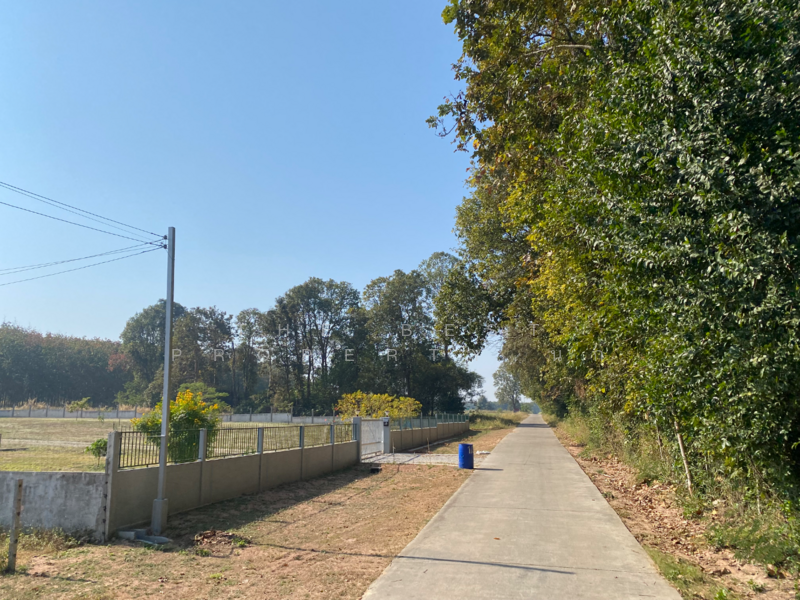 ที่ดินนิคมสงเคราะห์ อุดรธานี, Udon Thani, Ni Kom Song Khro, Muang Udon Thani, Udon Thani, , 1,600 sqm, Land For Sale, by The Best Property นก, 500062763 - DDproperty.com