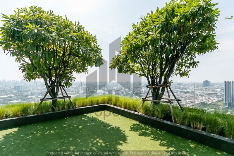 Niche Pride Taopoon-Interchange, Bangkok, Pracharat Sai 2 Road, Bang Sue, Bang Sue, Bangkok, 1 Bedroom, 32 sqm, Condo For Rent, by Win Chan, 500062857 - DDproperty.com