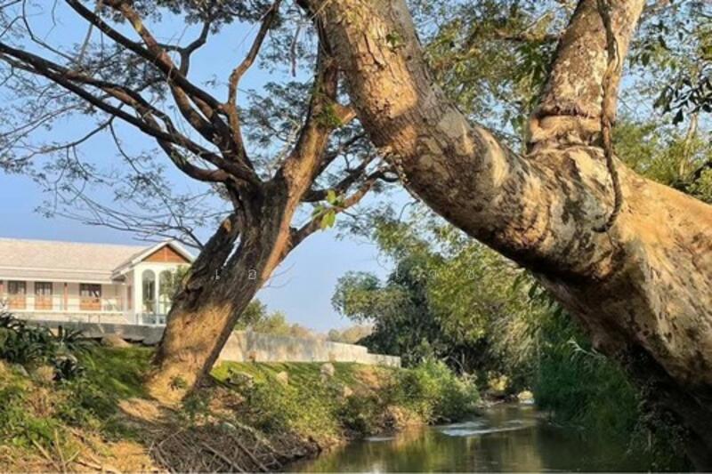 For Sale - Sa Luang, Chiang Mai