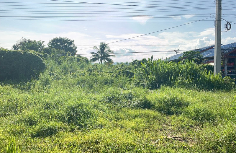 ขาย - ที่ดินวังทอง พิษณุโลก, พิษณุโลก