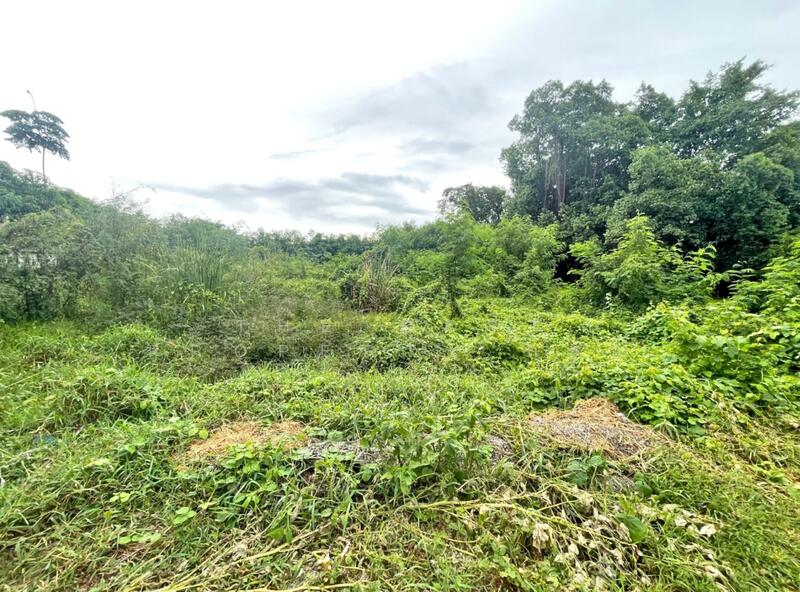 ขาย - ที่ดินไทรน้อย นนทบุรี, นนทบุรี