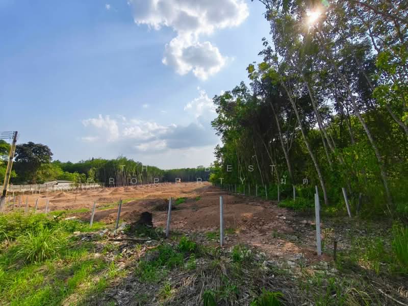 ที่ดินเพ ระยอง, ระยอง, เพ, เมืองระยอง, ระยอง, 11,900 ตร.ม., ที่ดิน ขาย, โดย The Best Property มัต, 500063419 - DDproperty.com