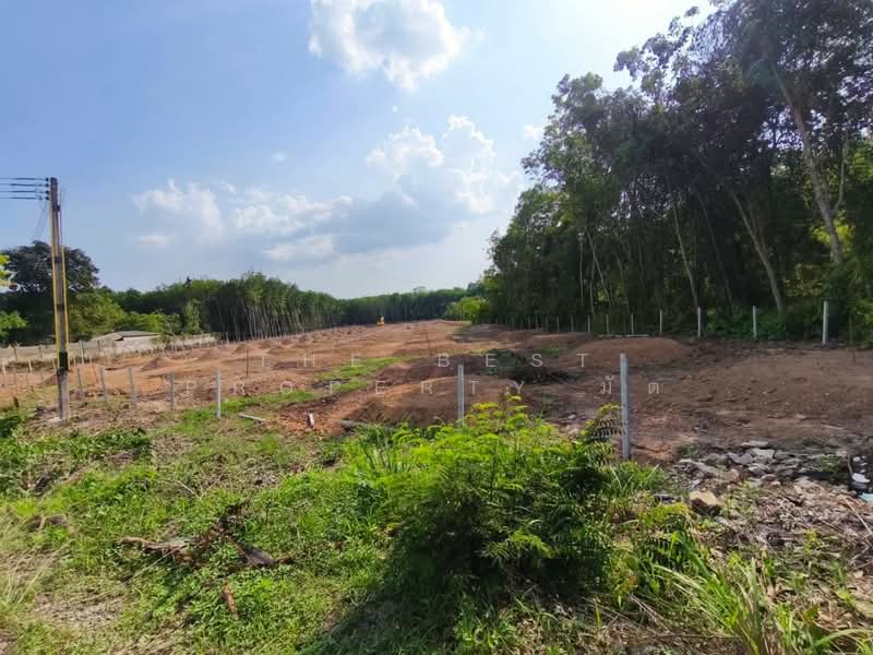 ที่ดินเพ ระยอง, Rayong, Phe, Muang Rayong, Rayong, , 11,900 sqm, Land For Sale, by The Best Property มัต, 500063419 - DDproperty.com