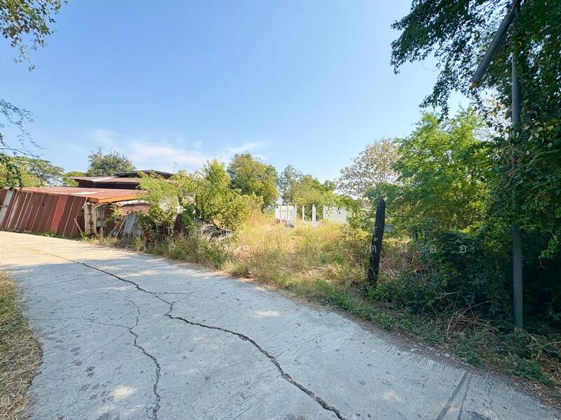 ขาย - ที่ดินตาคลี นครสวรรค์, นครสวรรค์