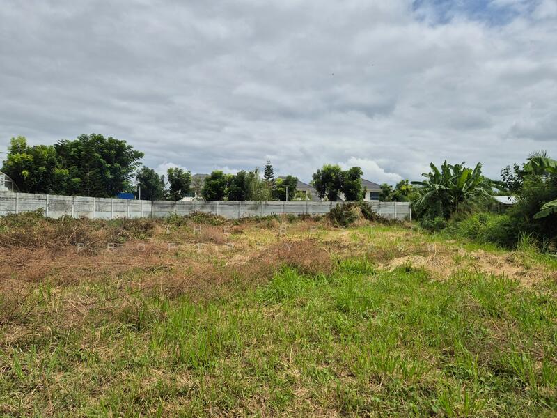 For Sale - ที่ดินนาป่า ชลบุรี, Chon Buri (Pattaya)