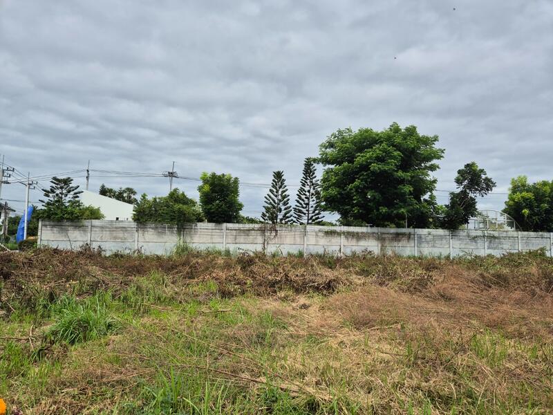 For Sale - ที่ดินนาป่า ชลบุรี, Chon Buri (Pattaya)