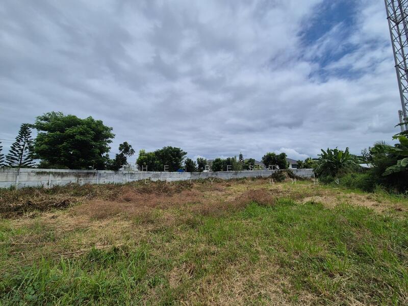 For Sale - ที่ดินนาป่า ชลบุรี, Chon Buri (Pattaya)