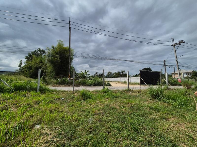 For Sale - ที่ดินนาป่า ชลบุรี, Chon Buri (Pattaya)