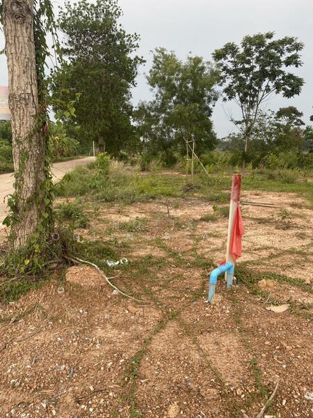 For Sale - 1 Rai Land for sale in Kabinburi, Prachinburi, Prachin Buri
