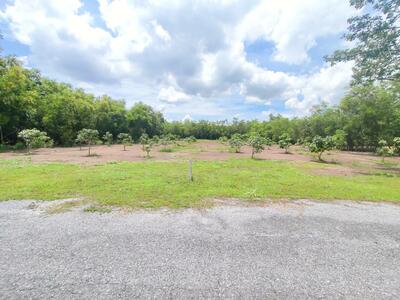 ขาย - ที่ดินแปลงสวย 2 ไร่ 6 ตร.วา โครงการคันทรีการ์เด้น ใกล้ วัดพระธรรมกาย เพียง 3 กม., ปทุมธานี