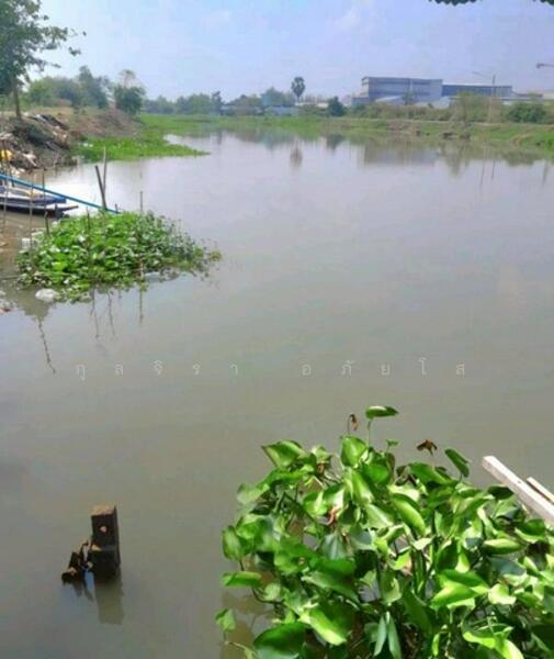 For Rent - ไม่พบโครงการ, Nakhon Pathom