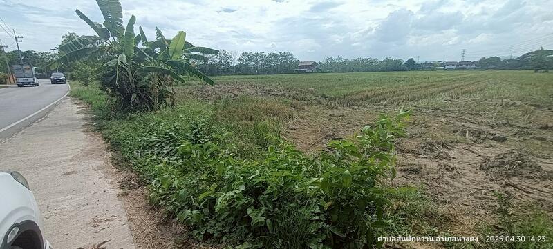 ขาย - HLPD - San Pak Wan, เชียงใหม่