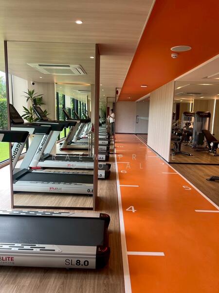 ให้เช่า - The Base Bukit Phuket : เดอะ เบส บูกิต, ภูเก็ต