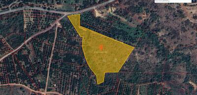 ขาย - หนองปลาสะวาย, ลำพูน