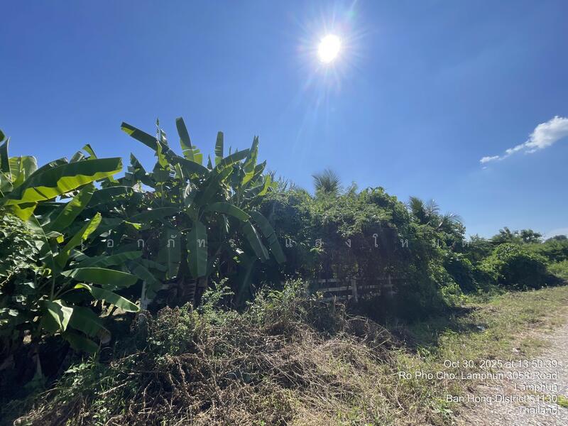 ขาย - หนองปลาสะวาย, ลำพูน