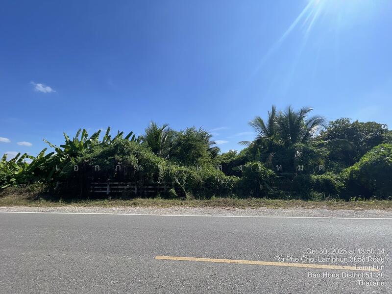 ขาย - หนองปลาสะวาย, ลำพูน