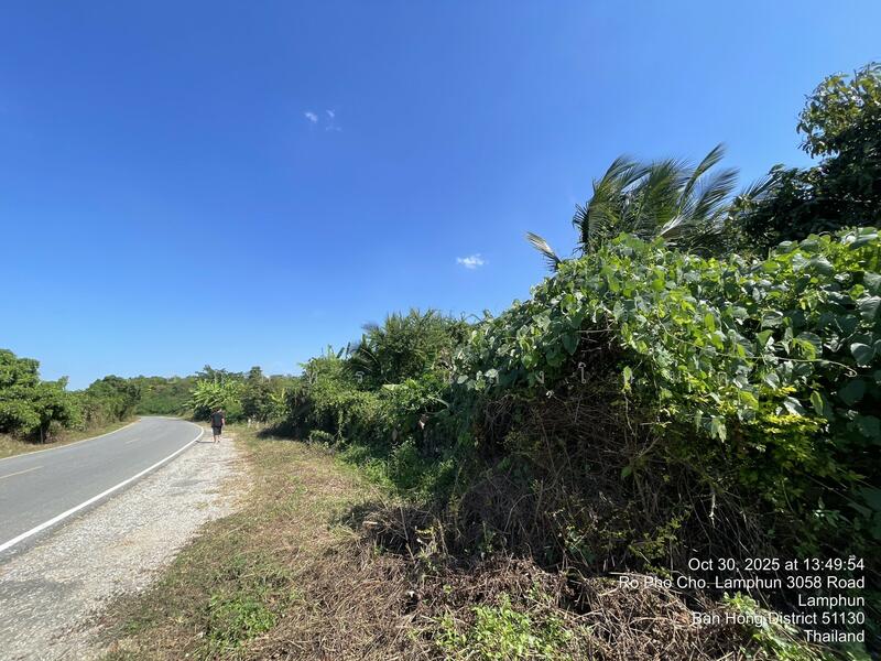 ขาย - หนองปลาสะวาย, ลำพูน