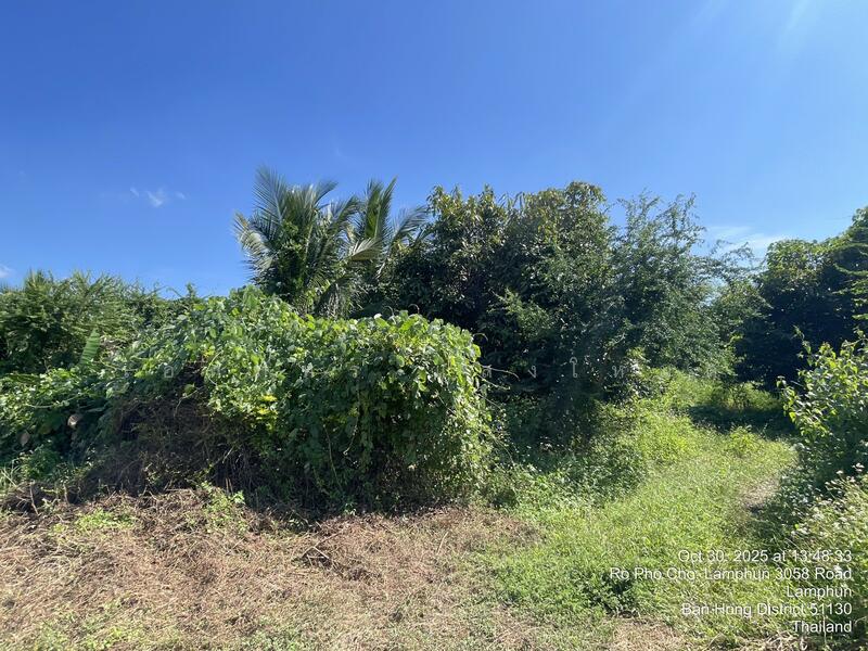 ขาย - หนองปลาสะวาย, ลำพูน