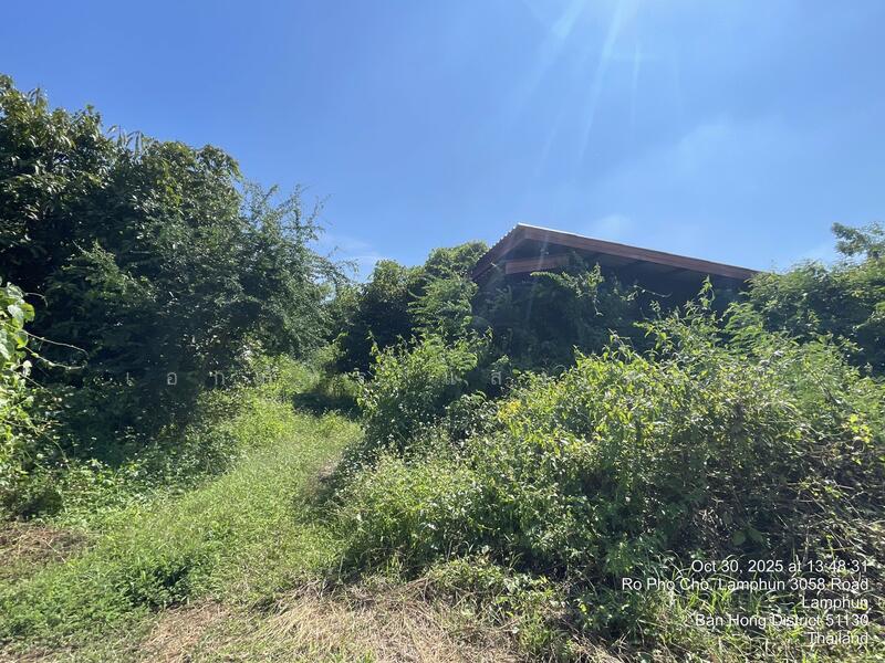 ขาย - หนองปลาสะวาย, ลำพูน