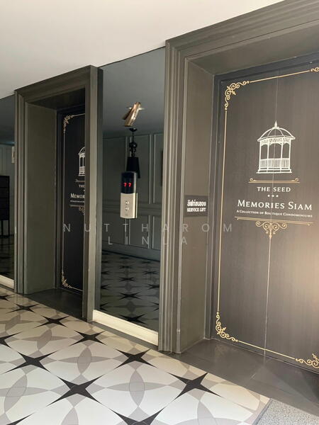 ขาย - The Seed Memories Siam : เดอะ ซี้ด เมมโมรี่ สยาม, กรุงเทพ