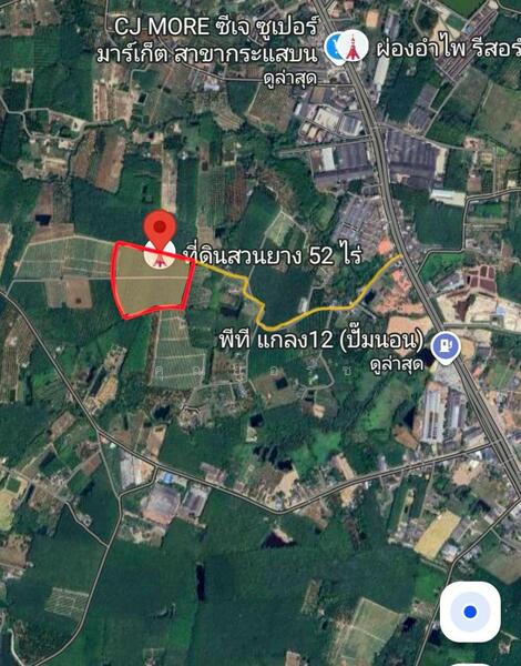For Sale - โอกาสลงทุนสวนยาง ทำเลดี อ.แกลง จ.ระยอง, Rayong
