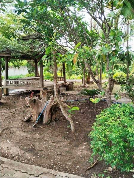 For Sale - ขายบ้านพร้อมที่ดิน 2 ไร่ 3 ตร.ว. ใกล้ เชียงใหม่ศิลาดล, Chiang Mai