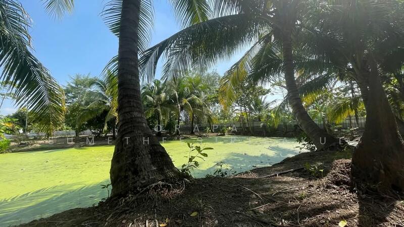 ขาย - บ้าน 2-ห้องนอน, กรุงเทพ