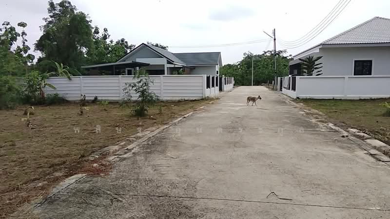 Land for Sale Saraburi, Saraburi, เทศบาล4, Pak Prieo, Muang Saraburi, Saraburi, , 252 sqm, Land For Sale, by Pasit Untrakoon, 500066207 - DDproperty.com