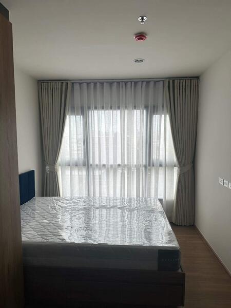 ให้เช่า - The Line Vibe : เดอะ ไลน์ ไวบ์, กรุงเทพ