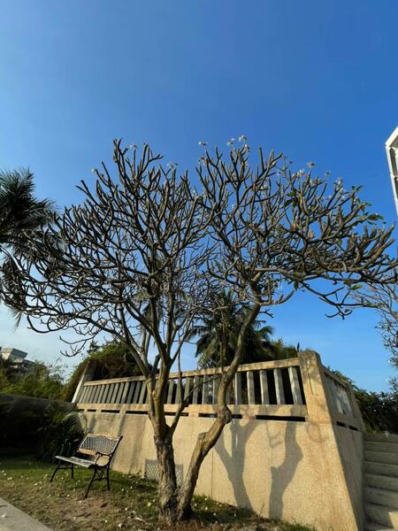 ให้เช่า - The Trust Hua Hin : เดอะ ทรัสต์ หัวหิน, ประจวบคีรีขันธ์