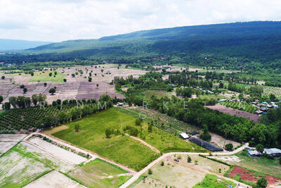 ขาย - ขายที่ดินสวย, พิษณุโลก