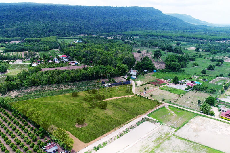 ขาย - ขายที่ดินสวย, พิษณุโลก