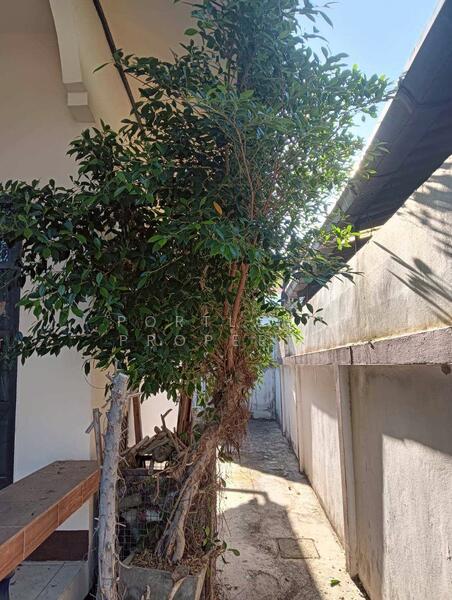 For Sale - ขายบ้านแฝด หมู่บ้านธนวรรณ 1 ชั้น 2 นอน 2 น้ำ 1 ครัว, Lampang