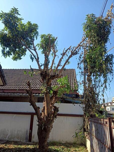 For Sale - ขายบ้านแฝด หมู่บ้านธนวรรณ 1 ชั้น 2 นอน 2 น้ำ 1 ครัว, Lampang