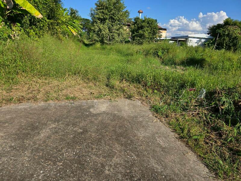 For Sale - ขายที่ดินบ้านเกาะ หลังต้นทองรีสอร์ท 80 ตารางวา, Uttaradit