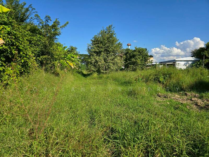 For Sale - ขายที่ดินบ้านเกาะ หลังต้นทองรีสอร์ท 80 ตารางวา, Uttaradit