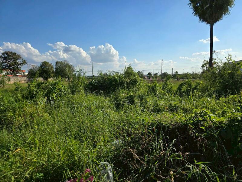 For Sale - ขายที่ดินบ้านเกาะ หลังต้นทองรีสอร์ท 80 ตารางวา, Uttaradit