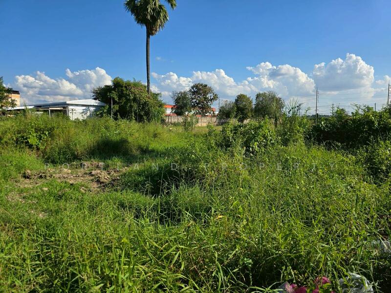 For Sale - ขายที่ดินบ้านเกาะ หลังต้นทองรีสอร์ท 80 ตารางวา, Uttaradit