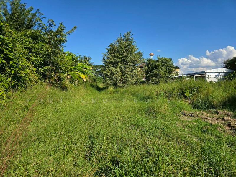 For Sale - ขายที่ดินบ้านเกาะ หลังต้นทองรีสอร์ท 80 ตารางวา, Uttaradit